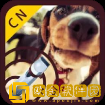 训练狗哨
