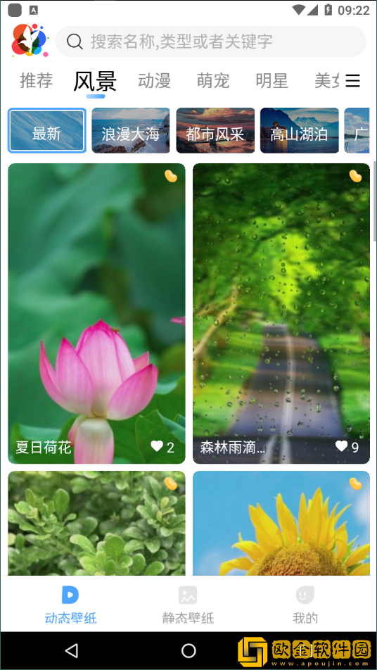 小鸟主题壁纸