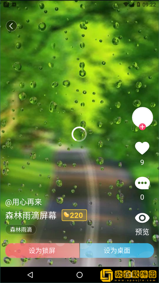 小鸟主题壁纸