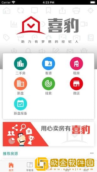 喜豹