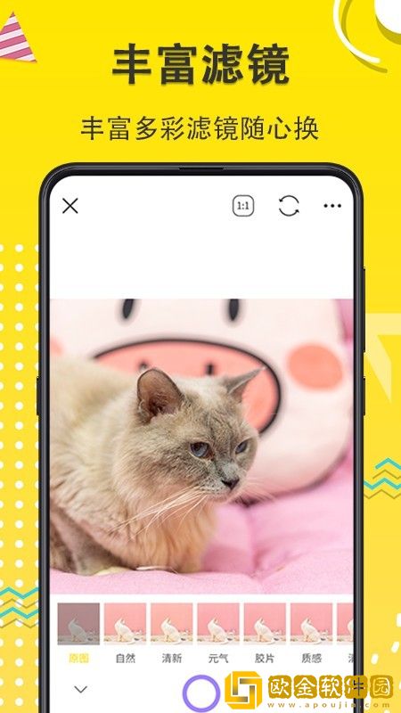 猫狗成长记录相机
