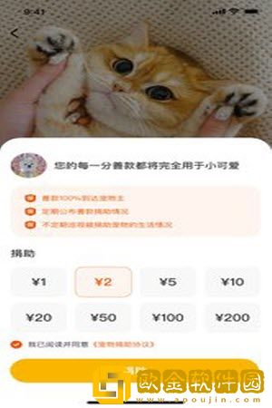 财猫双犬