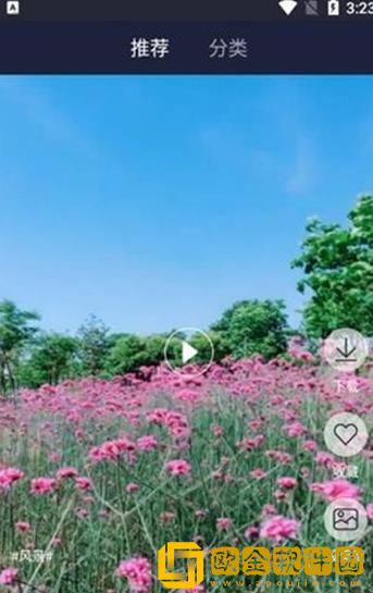 朵蜜维码壁纸最新版