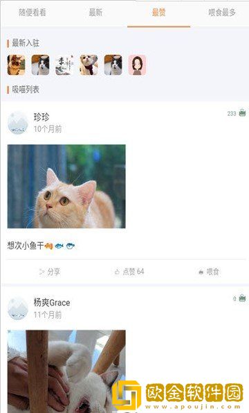 猫咪俱乐部