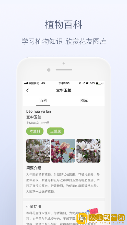 花伴侣拍照识花