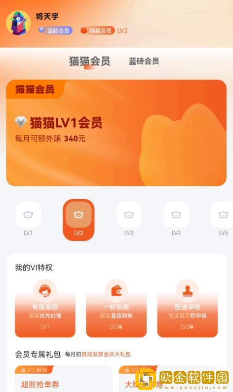 多利猫霸王圈