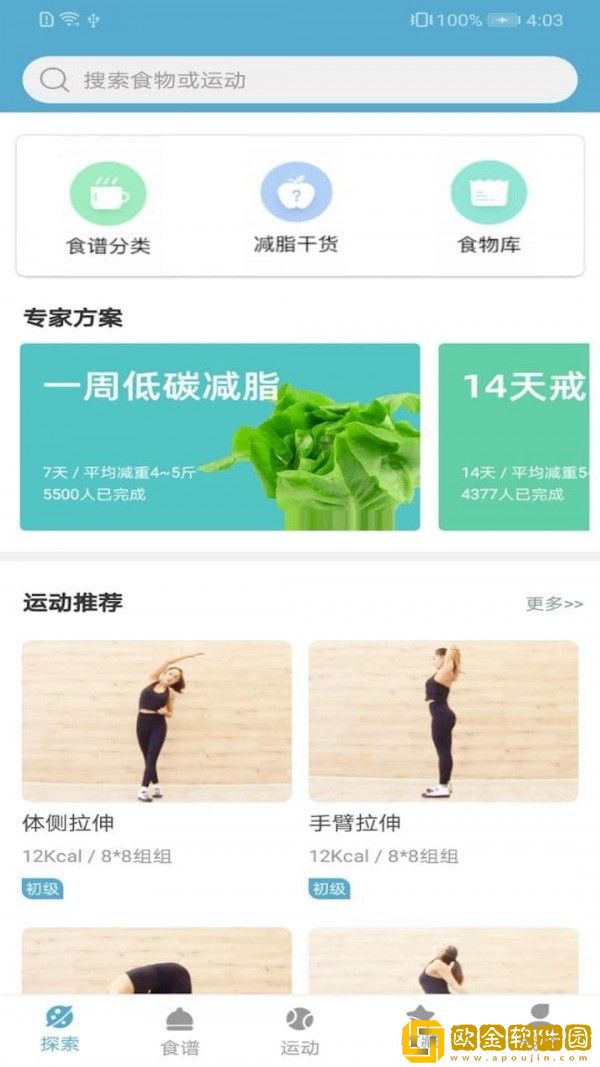 莱盛减肥