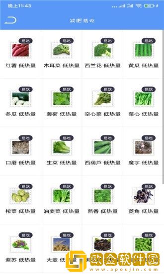 Fit瘦身减肥打卡