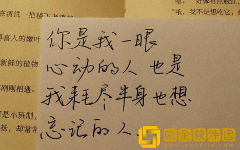 20211202完全对称日图片
