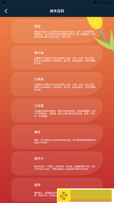 plantae植物识别