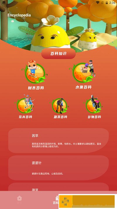 plantae植物识别