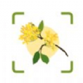 plantae植物识别APP