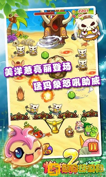燃烧的蔬菜2新年版