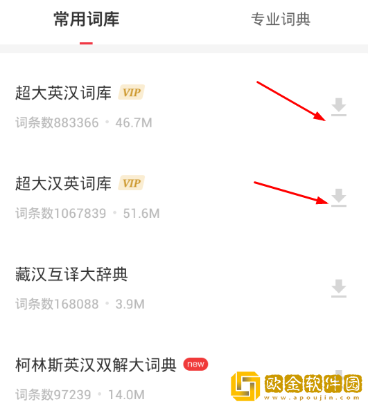 网易有道词典