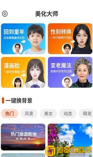 猪猪壁纸