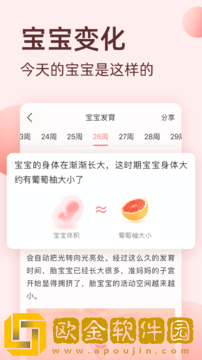柚宝宝