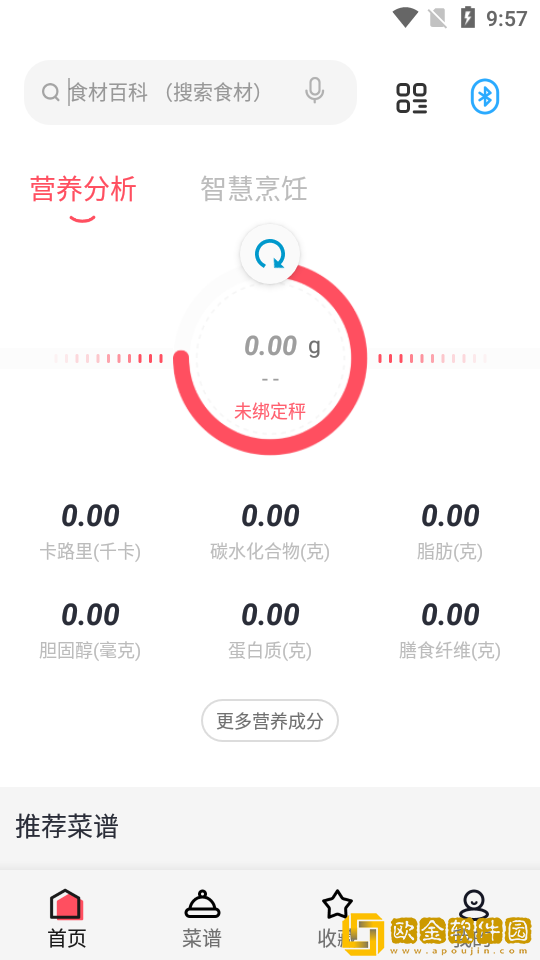 厨翼