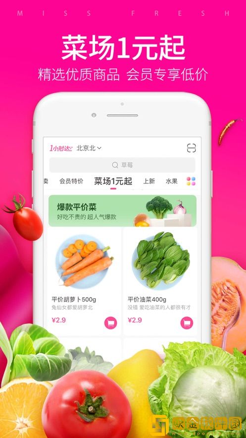 每日优鲜双十一版