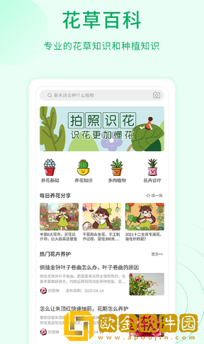 花草识别