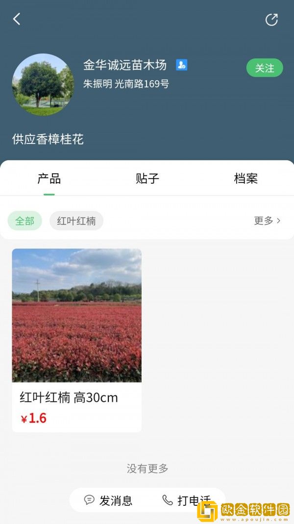 苗青青