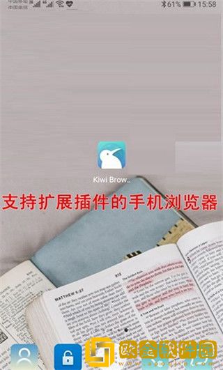 Kiwi浏览器中文版