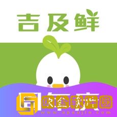 吉及鲜