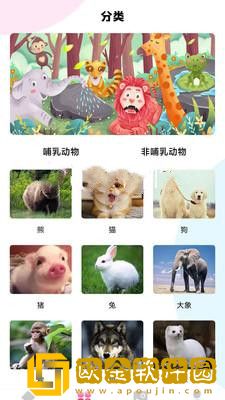 最强动物园