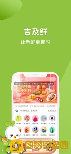 吉及鲜