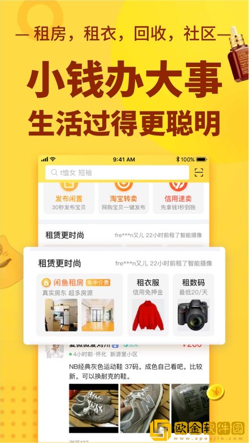 闲鱼双十一版