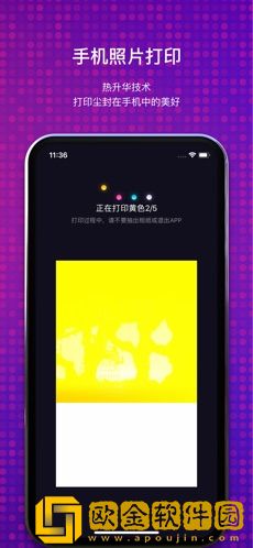 极印
