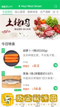 菜篮子