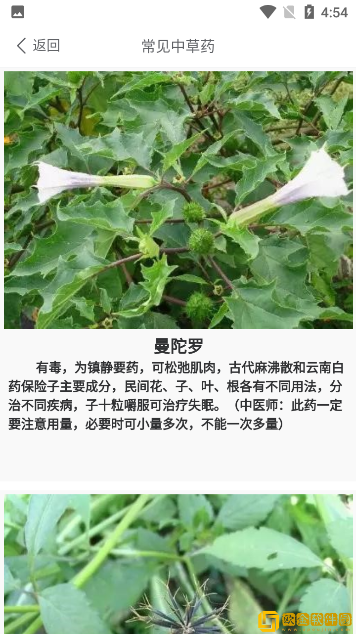 中药养生记最新版
