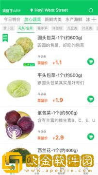 菜篮子
