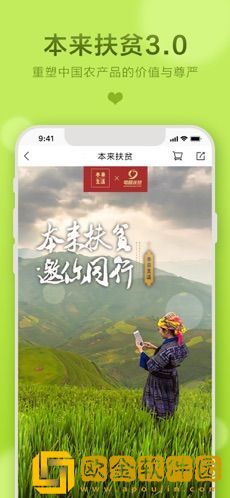 本来生活