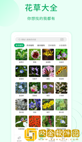 花草识别