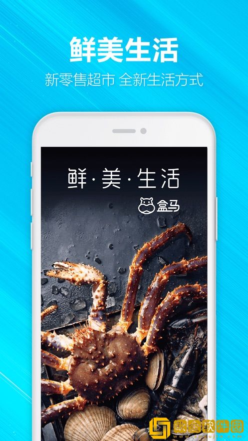 盒马双十一版
