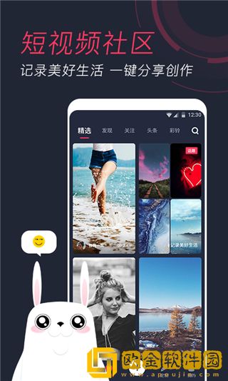 羞兔动态壁纸最新版
