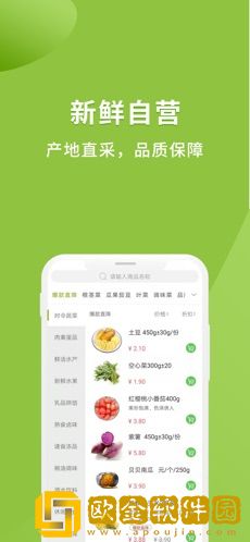 吉及鲜