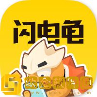 闪电龟龟