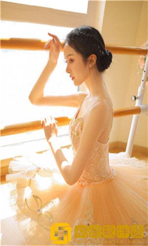 银杏官网yxspxyz