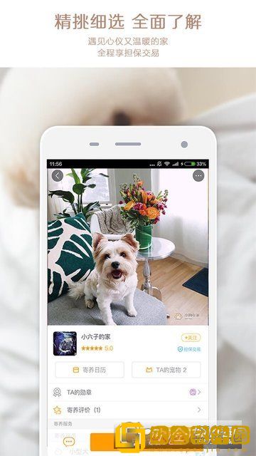 小狗在家宠物狗猫安卓版