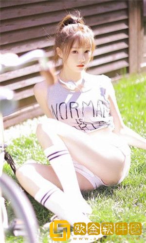 旧版向日葵丝瓜秋葵