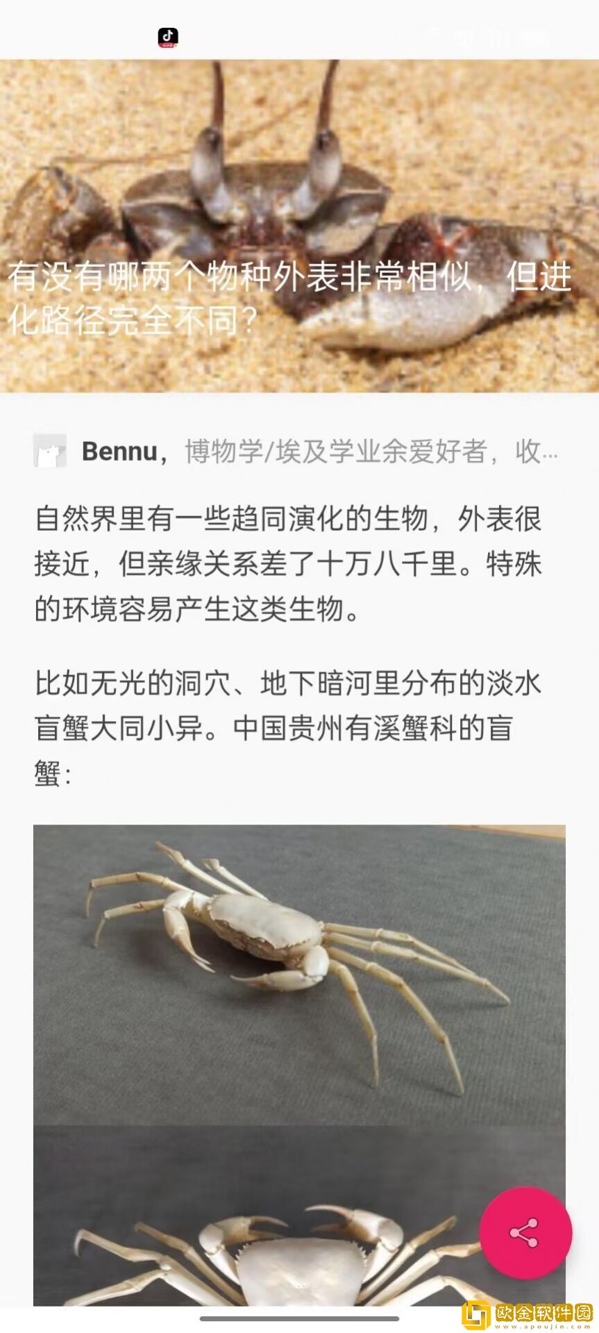 Super图影库