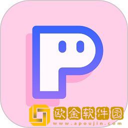 PINS软件