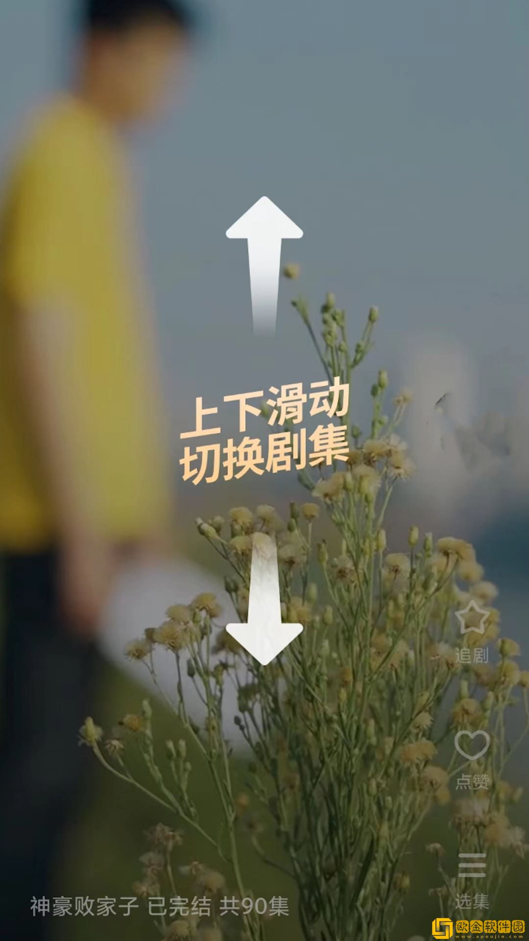 番茄短剧app