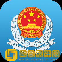广东税务app