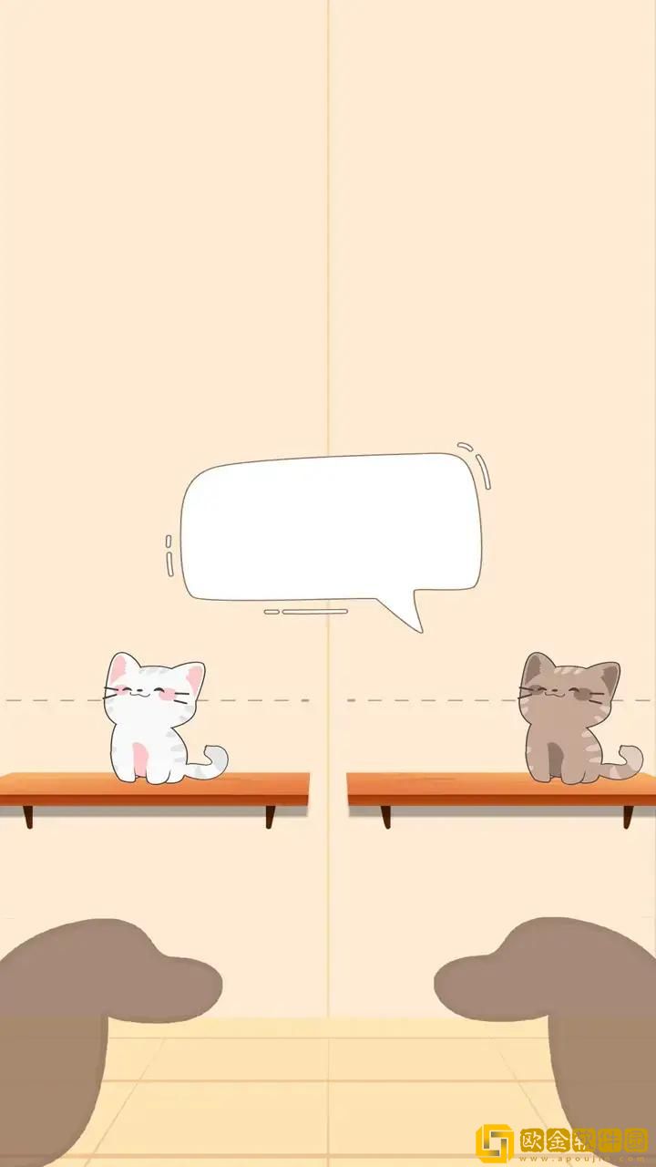 猫咪二重奏