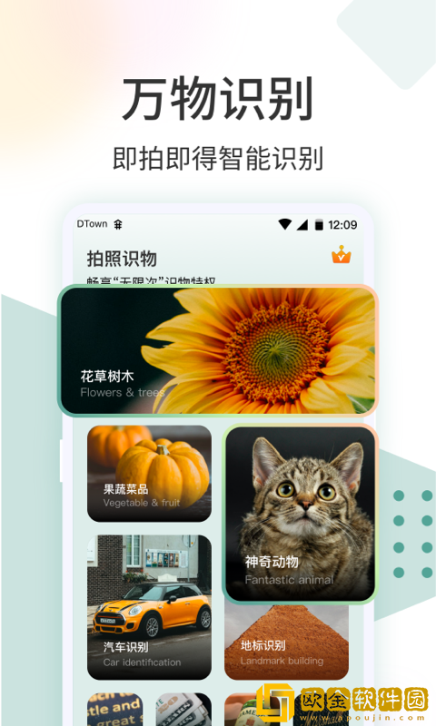 识花君拍照识花