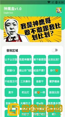 神鹰盒最新版本