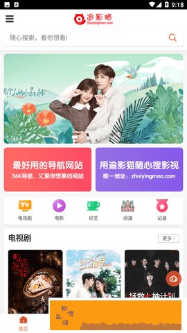 追影猫